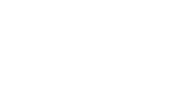 logo light